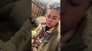 My horse, Annie always poops in her water 🙈 
