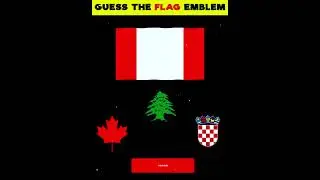 Guess Challenge : Guess The Right Flag Emblem ! | Guess Puzzle | #shorts  #paheliyan #guess