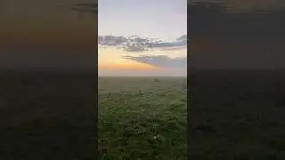 Красота 😍