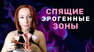 СПЯЩИЕ ЭРОГЕННЫЕ ЗОНЫ 