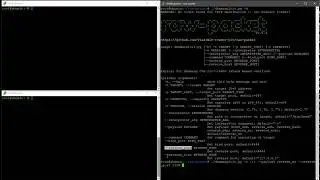 dnsmasploit