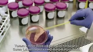 ПРОЦЕСС ПРОИЗВОДСТВА  ПРОДУКЦИИ ФОРЕВЕР | FOREVER MANUFACTURING PROCESS