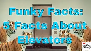 Studies Weekly Funky Facts: 5 Facts about Elevators