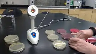 BI 234 Selective and Differential Media pt 1