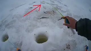 ЛОВЛЯ ПЛОТВЫ в МАРТЕ со ЛЬДА в ПЛОХУЮ ПОГОДУ