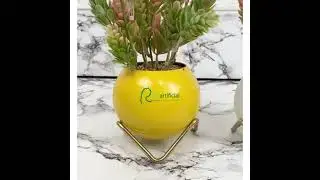 RICKARTIFICIAL - Bunga Hias Pinus Hijau Gradasi Pink Latex Artificial Standing Mini Gold Tanaman
