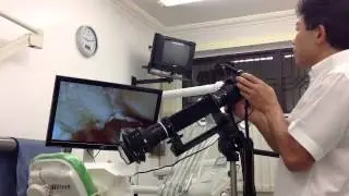 Macrofotografia extrema com fole e anéis de extensão