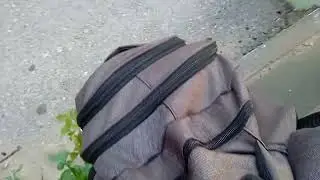 сусусусик