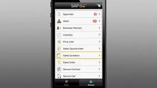 SAP Business B1  Mobile App overview.