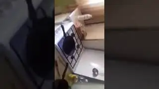 Блогер познает мир