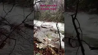 Chattanooga Flooded River 
