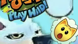 New Secret Colour In Animal Jam Play Wild!