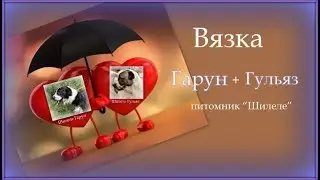 Вязка Шилеле Гарун и Шилеле Гульяз.
