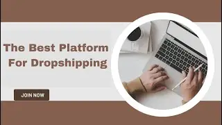 Dropshipping 3:Best Dropshipping Platforms in Pakistan | Dropshipping Free Course | The Perfect Data