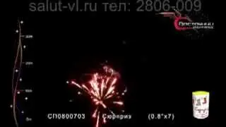 СП0800703 Сюприз