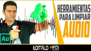Tools to CLEAN the AUDIO in Adobe Audition