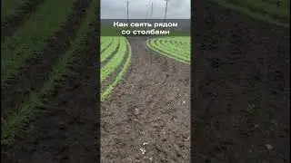 Как сеять рядом со столбами