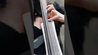 Game of Thrones - cello of Asturia Quartet #gameofthrones #cello #celloshorts #cellocover