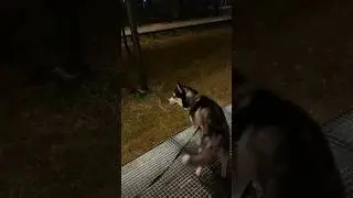 Ты не ты, когда хочешь пить 😂 