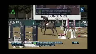 Fape Sir 99 du Piedroux , stallion 2018 by Stakkato gold x Scendix ( Sierra )