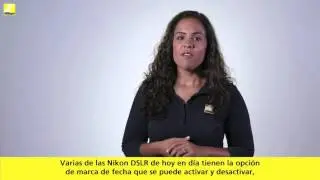 Guarda el recuerdo de tus hijos de la mejor forma.