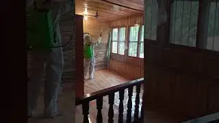 Anti-Termite Service. #Climate Change, animals,termite inspired architecture, eco friendly homes