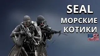 SEAL-МОРСКИЕ КОТИКИ.