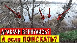 ДРАКАЧИ ВЕРНУЛИСЬ? А если ПОИСКАТЬ?