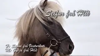Seifur frá Hlíð - Kynbótadómur júní 2020