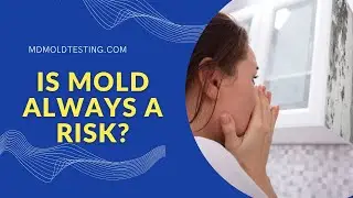 Is Mold Always A Risk? (Mold Testing Chevy Chase Maryland)