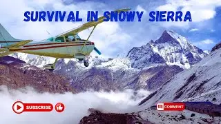 Survival in Snowy Sierra