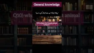 general knowledge video general knowledge quiz 