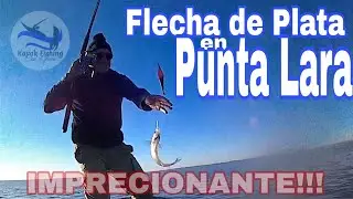 PESCA PEJERREY EN PUNTA LARA