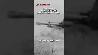 ЗАЧЕМ НЕМЦЫ КОПАЛИ ТУННЕЛИ ПОД СТАЛИНГРАДОМ?
