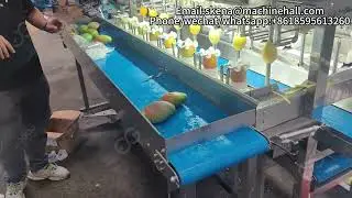 Precio De La Máquina Peladora De Mango