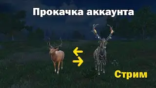 Играем в 