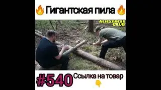Гигантская пила.     