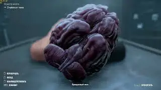 Autopsy Simulator