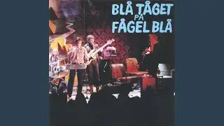 Sista valsen på motellet (Live)