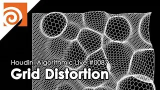 Houdini Algorithmic Live 