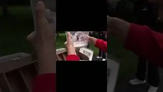 Redif vide grenier incroyable dans les hautes Pyrénées ( argeles-gazost )