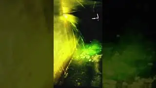 Ninja Turtle Juice!