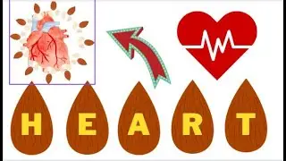 TOP 9 TREMENDOUS HEALTH BENEFITS OF ALMONDS | HEALTHY FOODS TO EAT EVERYDAY | Close BooK