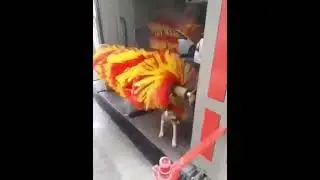 Потрите спинку пожалуйста...
