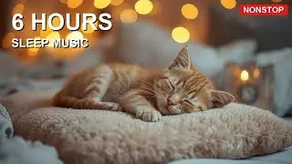 🐱 6 Hours of Kitten Purr Nap for Cats 🎵💖 Gentle Purr Lullaby 🎵 Quick Daytime Rest 💖