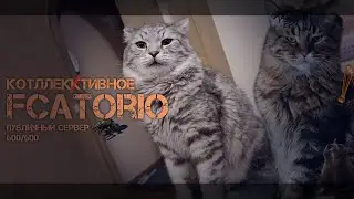 FCATORIO: Массовый забег на сценарии 