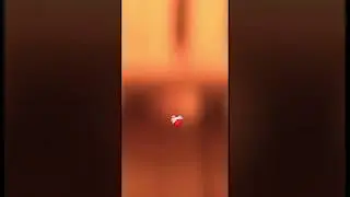 Doom Studio and Dafuq boom