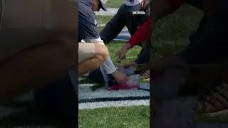 Patriots logo painted at Gillette Stadium