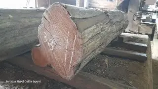 Penasaran Proses Belah Kayu Jati Tpk Blora Diameter Besar.. Mutu M Lokal Harga Murah Blimbing Pecah