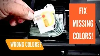 Epson L805 Not Printing Colors? Fix Missing or Wrong Colors Step-by-Step!